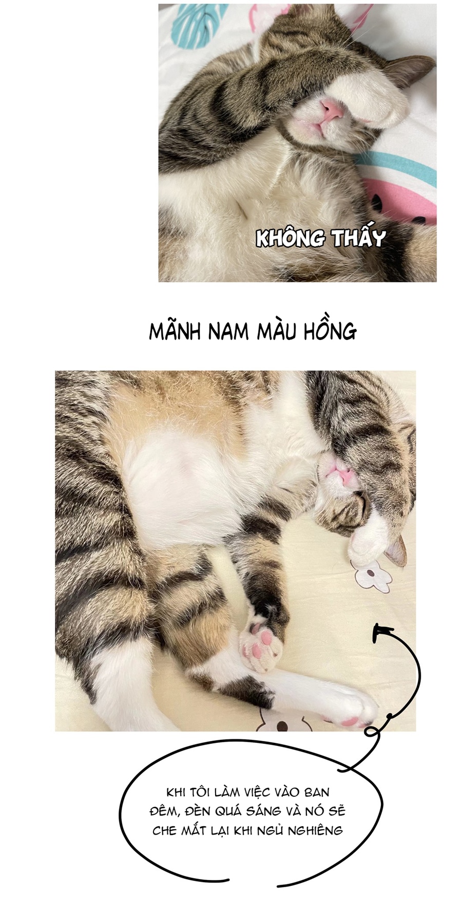 đừng nói yêu tôi chapter 52.1 9