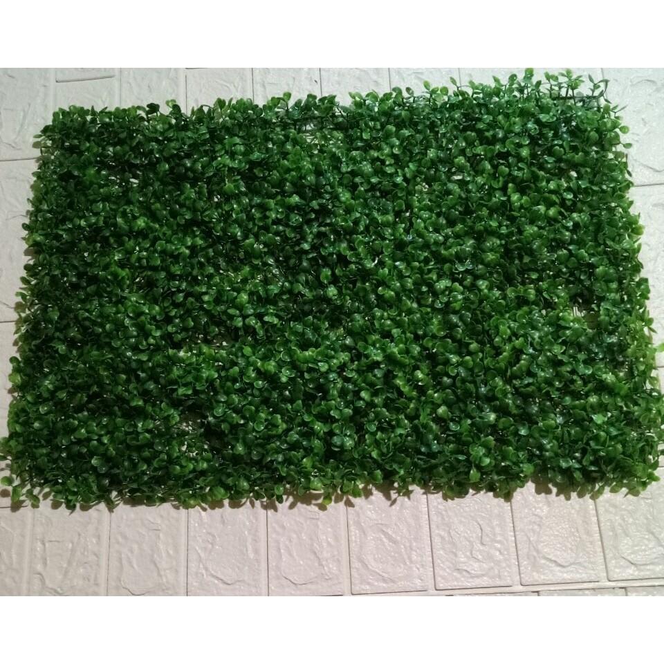 Cỏ nhân tạo treo tường cải xoong ,cỏ mắt châu ,trang trí quán cà phê ,spa,tiệm tóc ,shop kt rộng 40 x dài 60 tấm