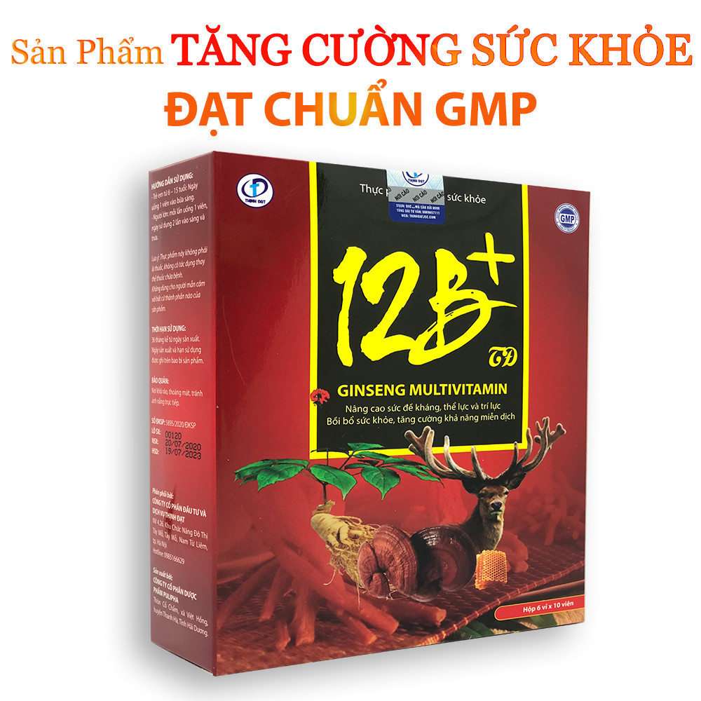 Nhân sâm GINSENG MULTIVITAMIN - Bổ sung vitamin và dưỡng chất, Giúp bồi bổ sức khỏe, Nâng cao sức đề kháng, Tăng cường miễn dịch, Nâng cao thể lực và trí lực (Hộp 60 viên)