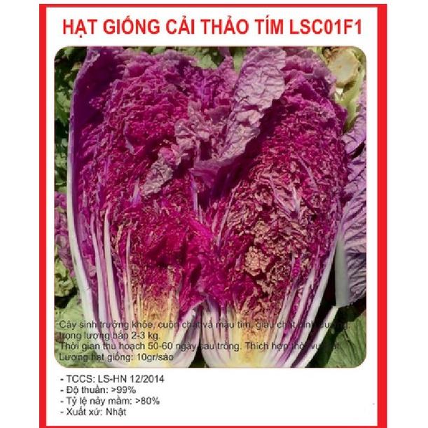Hạt giống cải thảo tím ,hạt giống chẩn F1-gói 20 hạt