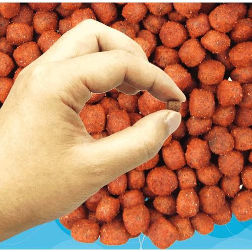 Hộp mồi câu trắm, chép dạng viên siêu nhạy