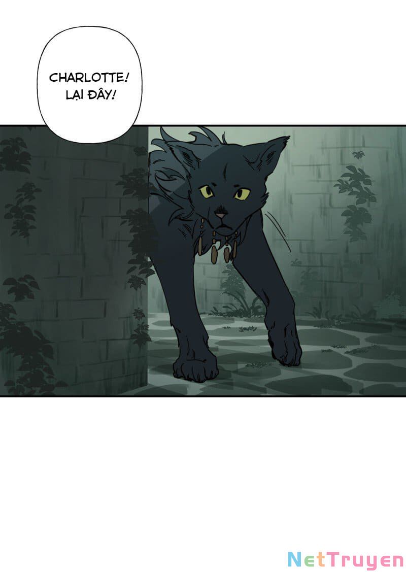 lumine - cội nguồn ánh sáng chapter 79 37