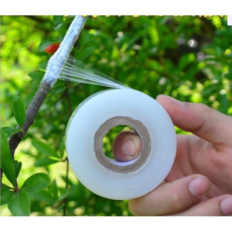 Giấy Ghép Cây-Nilon ghép cây giống 1 cuộn
