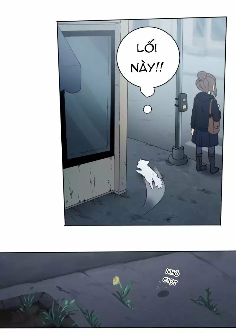 lumine - cội nguồn ánh sáng chapter 22 24