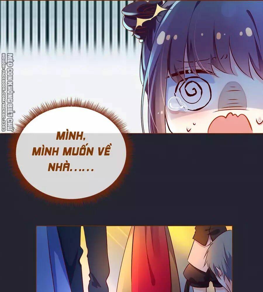 boss khủng bố chiếm đoạt ta chapter 1 24