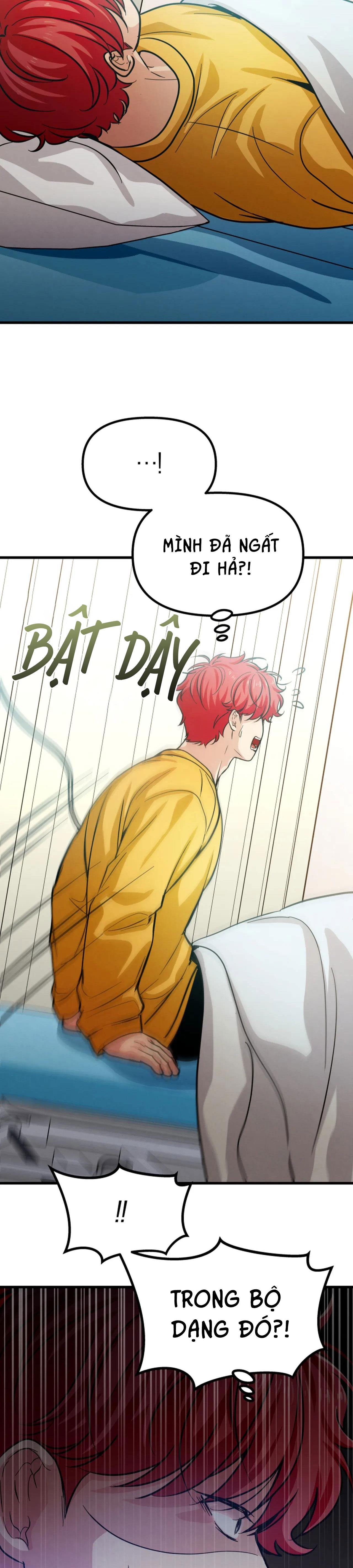 (np)những ngày mù sương chapter 19 11