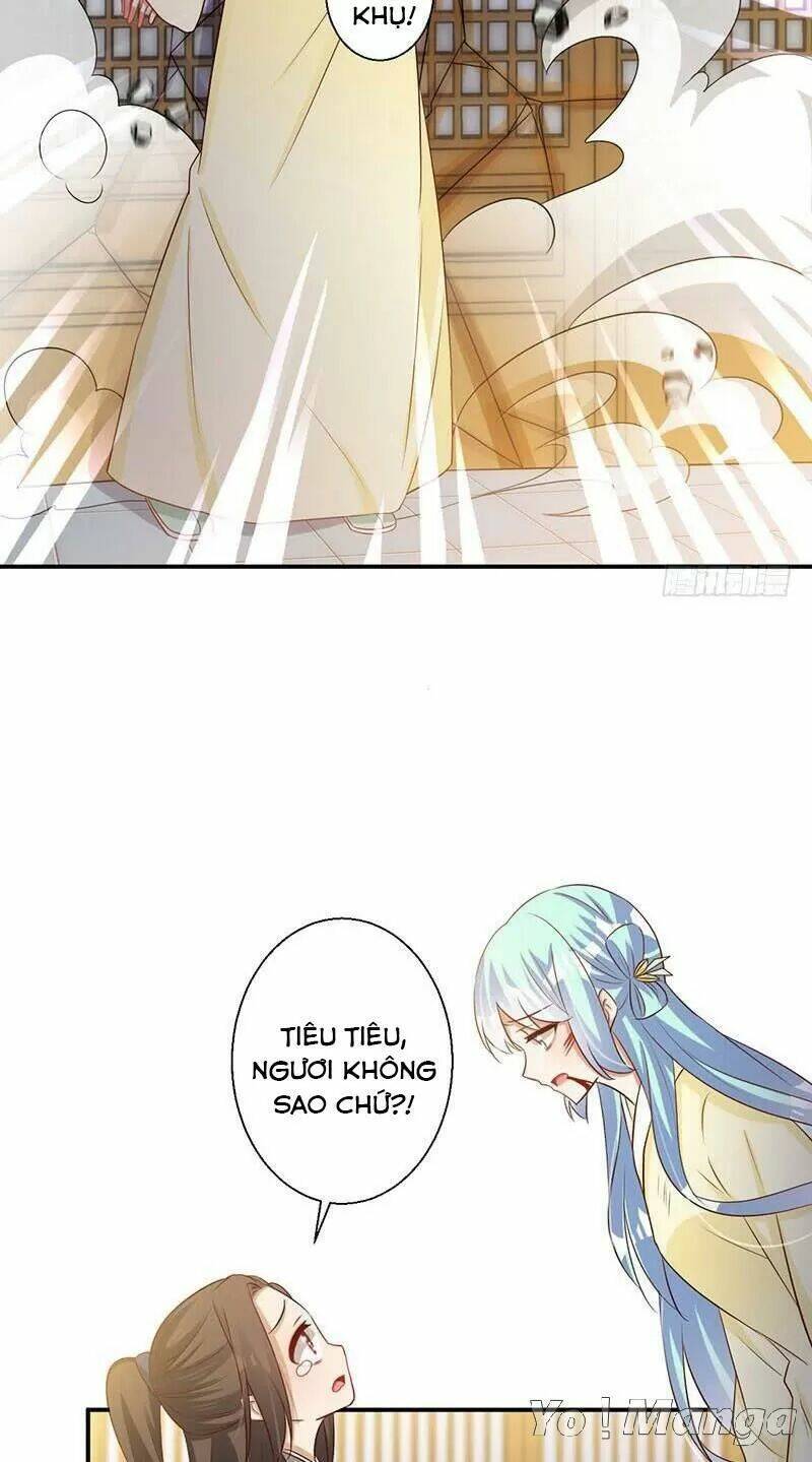 độc y cuồng phi chapter 61 18