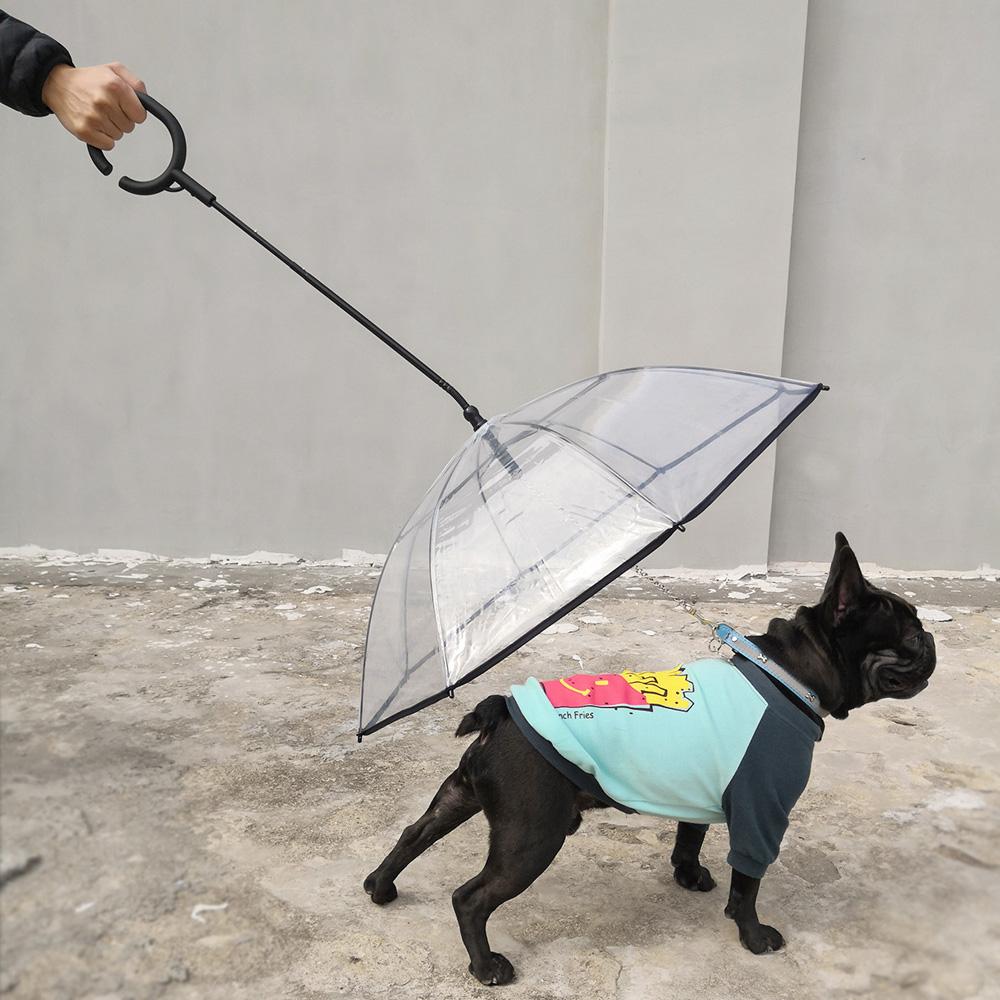 Ô dành cho chó cưng có Dây xích