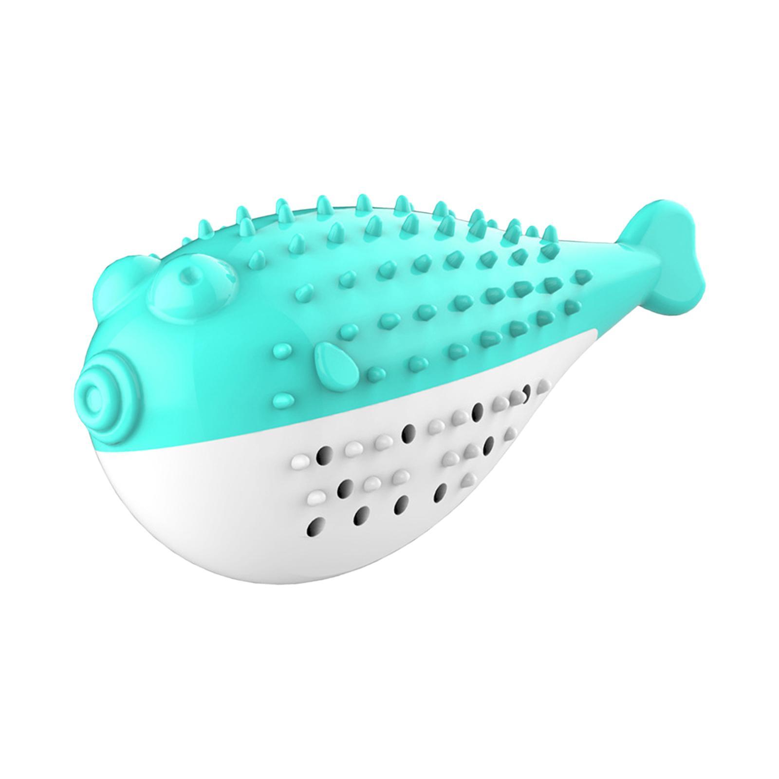 Catnip Toy Indoor Training Cat Interactive Chew Toy for Kitty