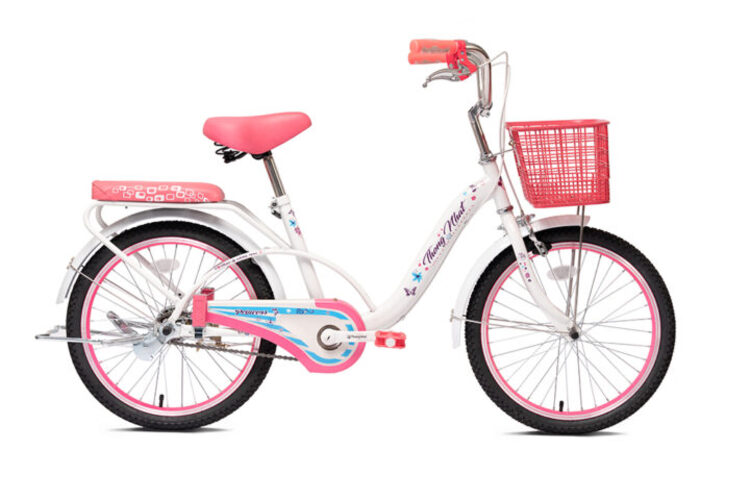 (CHAT VỚI SHOP ĐỂ NHẬN GIÁ TỐT) Xe đạp trẻ em thống nhất neo 20 - 03