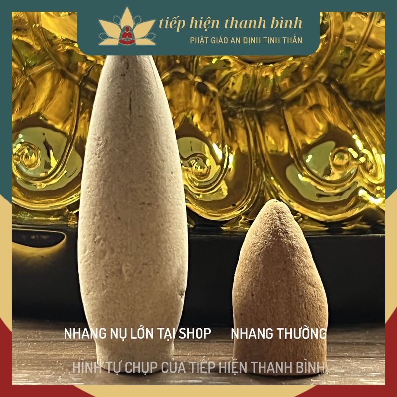 Nhang Nụ Cao Cấp Nụ Lớn Trầm Hương Khói Ngược 5 Mùi TRẦM HƯƠNG/ĐÀN HƯƠNG/TUYẾT TÙNG/NGẢI CỨU