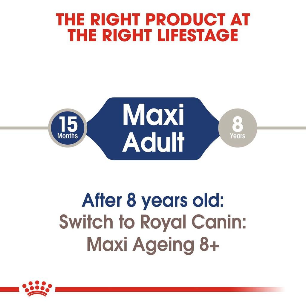 Pate Cho Chó Lớn Royal Canin Maxi Adult Gói