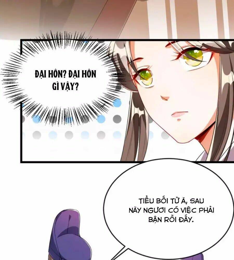 thái tử điện hạ, nô tài có hỉ rồi chapter 26 55