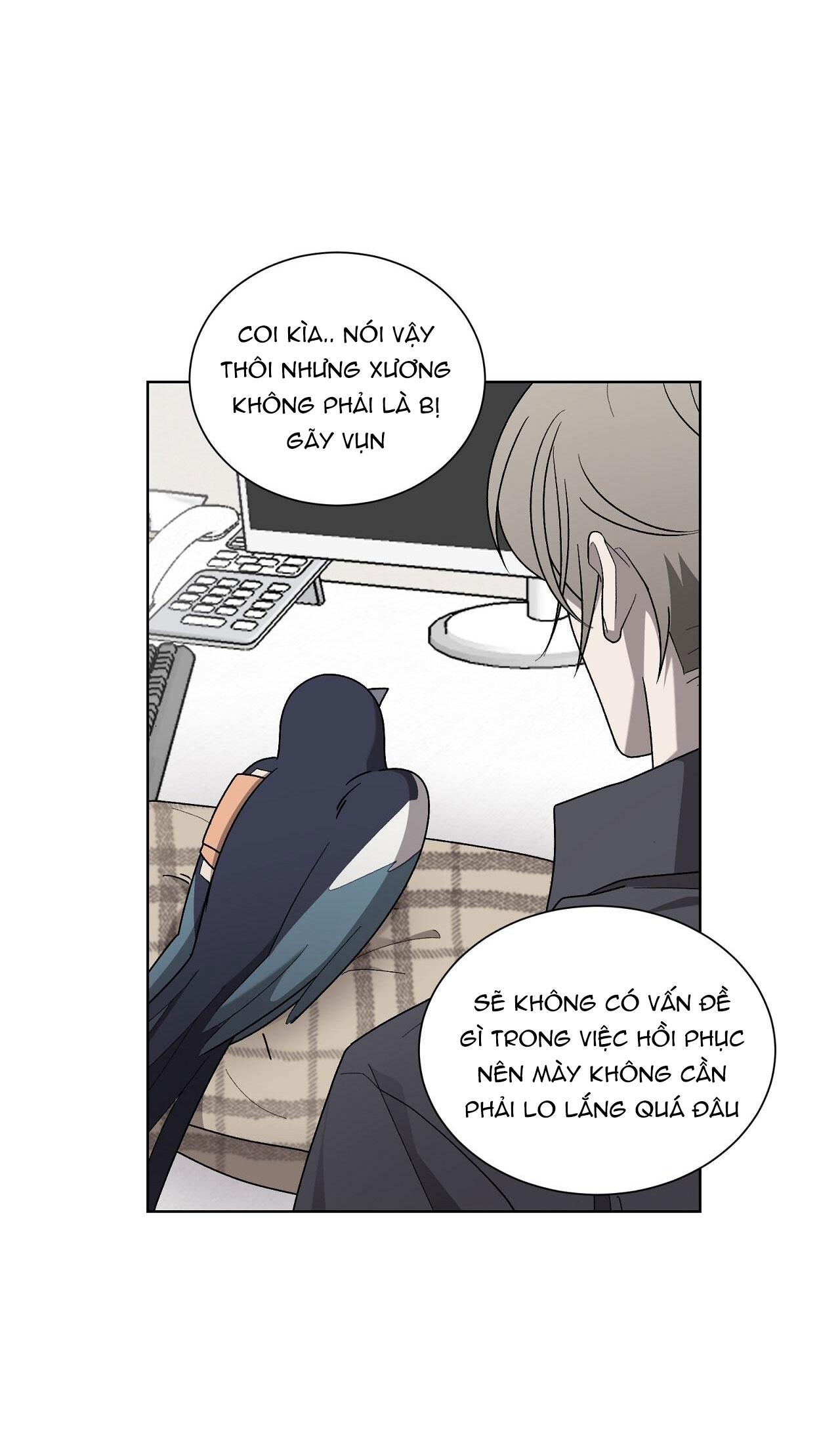 khi chim thước đến chapter 13 28