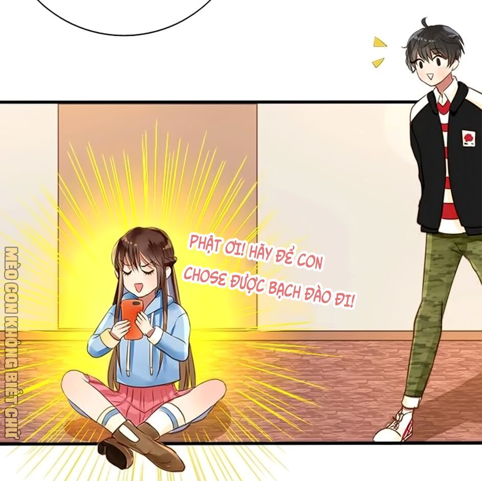 không có ssr làm sao để yêu chapter 5 20