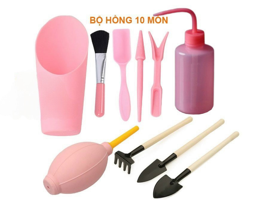 Combo 10 món dụng cụ trồng sen đá, xương rồng
