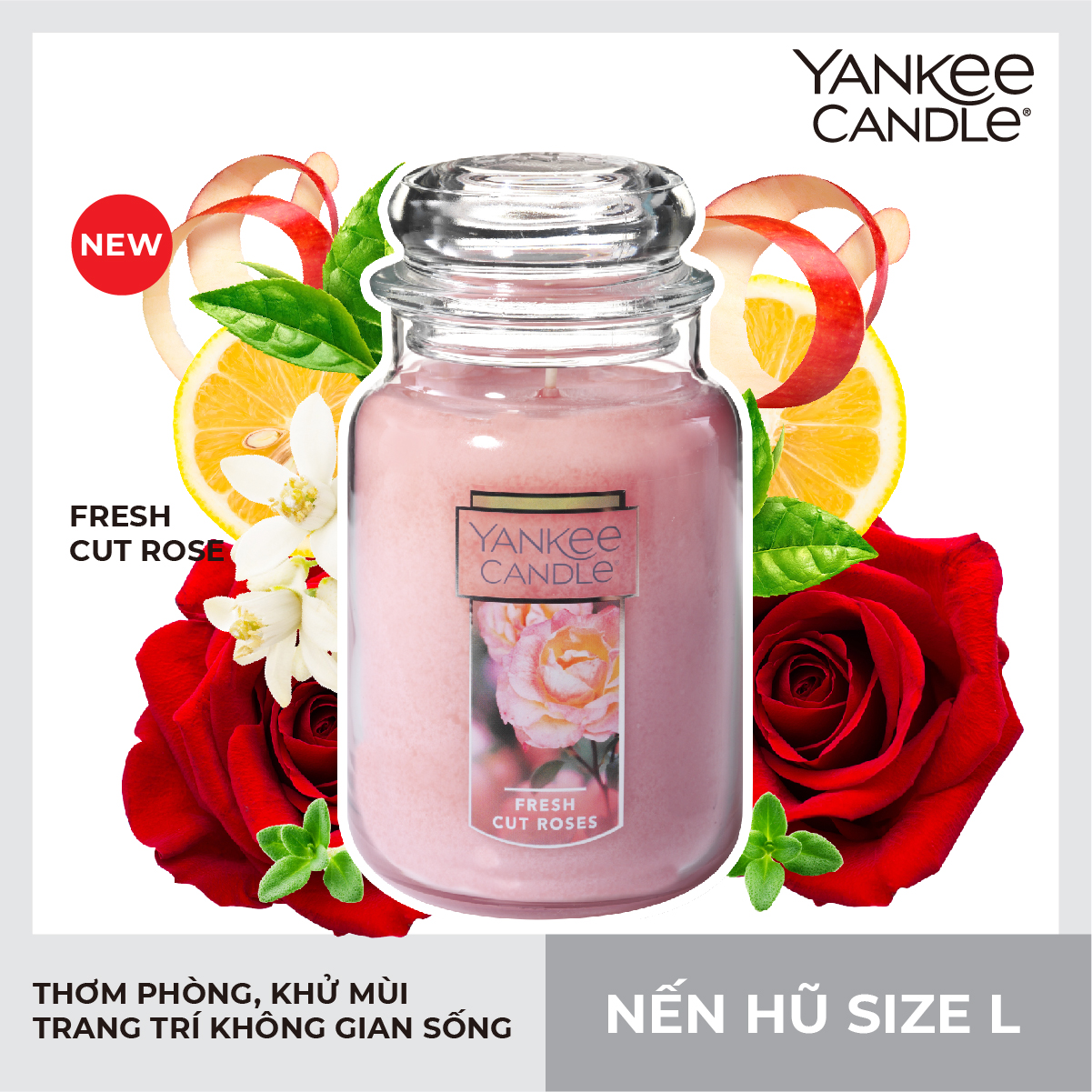 Nến hũ Yankee Candle size L - Fresh Cut Rose (623g)