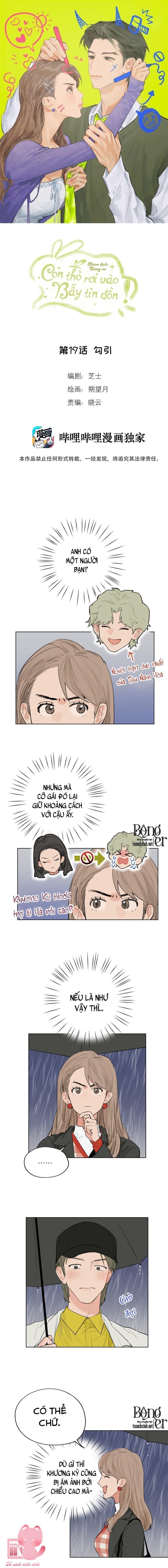 con thỏ rơi vào bẫy tin đồn chapter 19 1