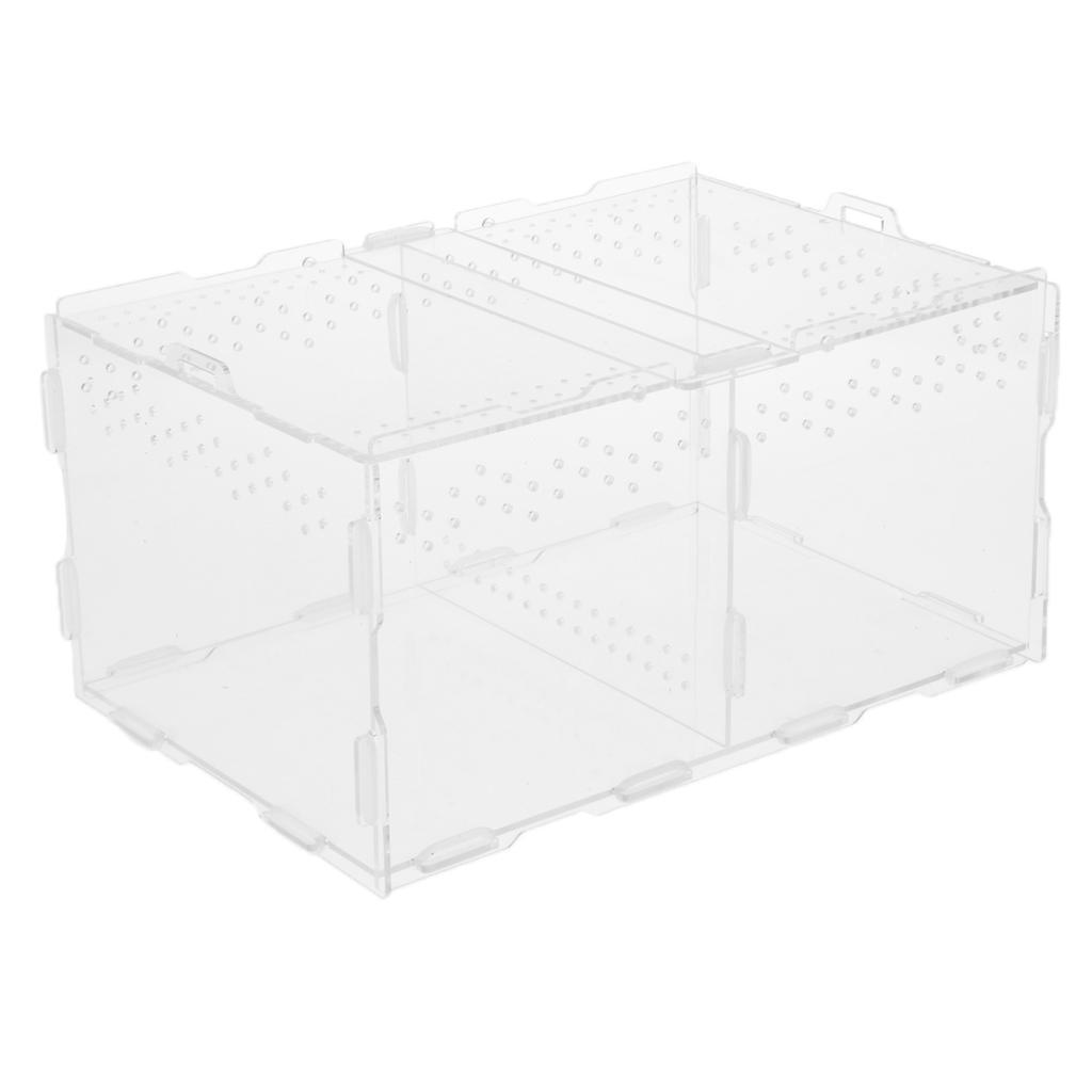 Acrylic Feeding Container Breeding Box An Room for Reptile