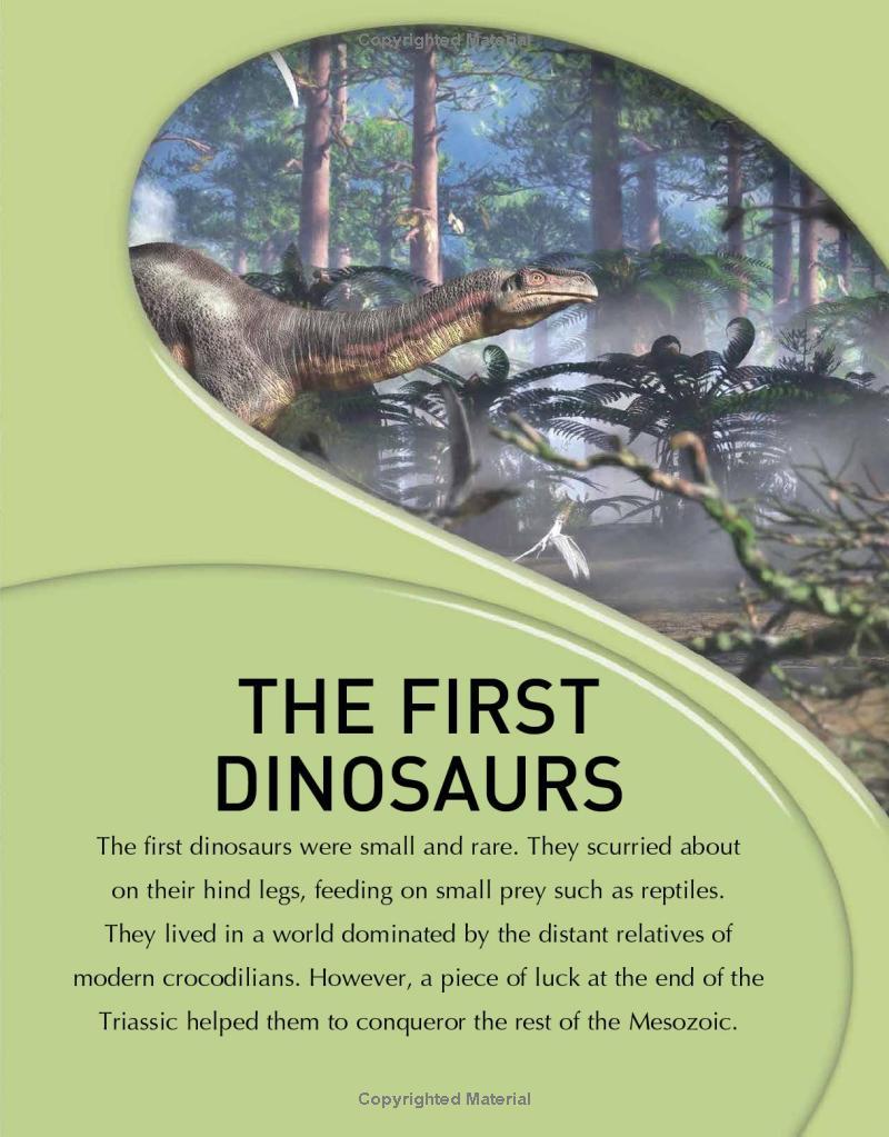 Sách ngoại văn: The Kingfisher Dinosaur Encyclopedia