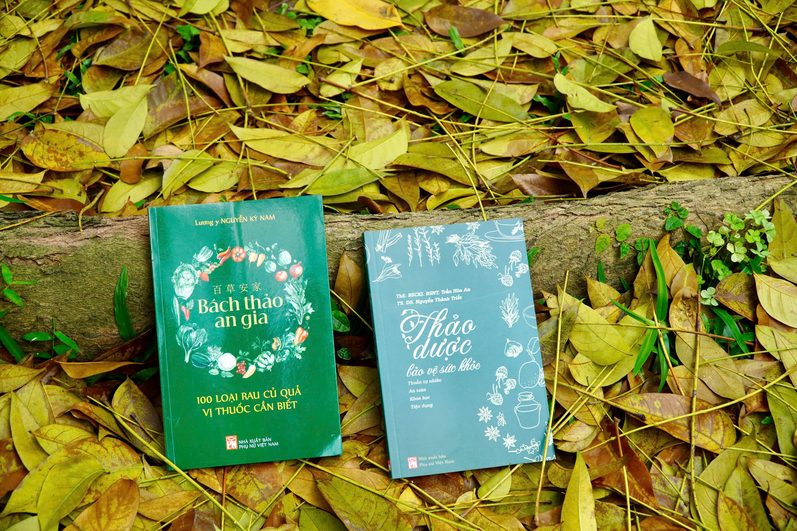 Sách Bách Thảo An Gia - 100 loại rau củ quả vị thuốc cần biết