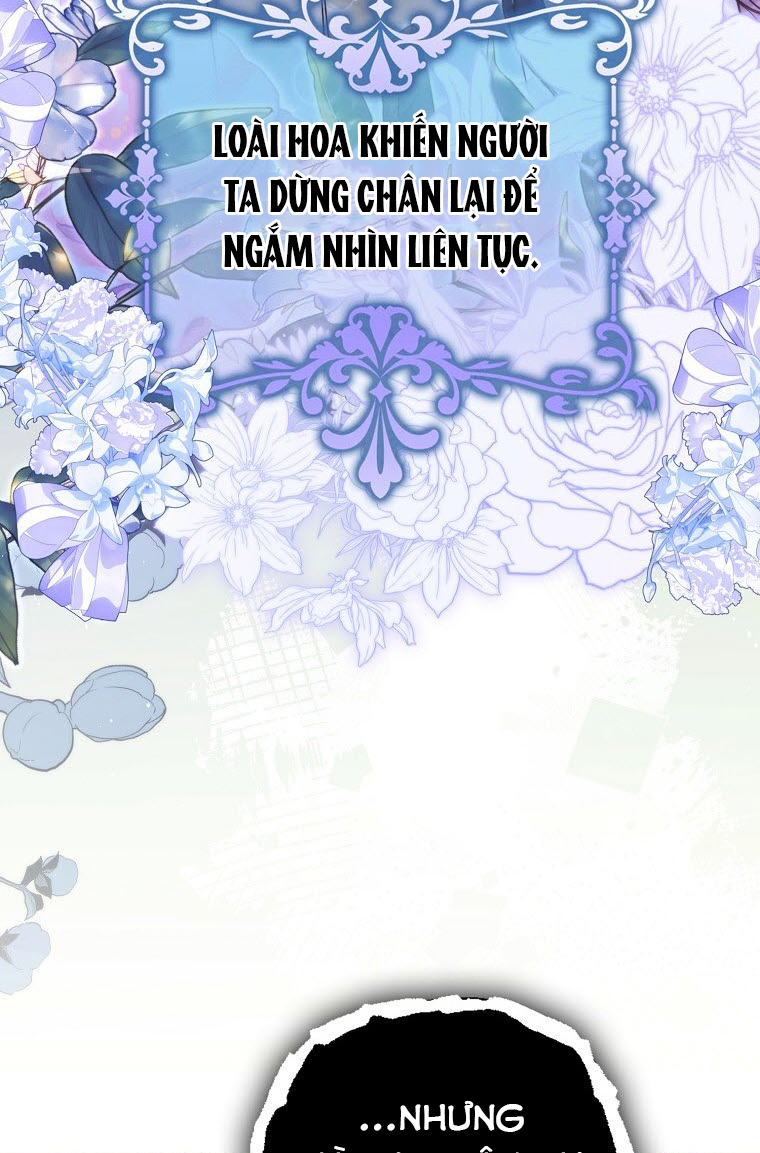 tôi đã cướp mất các nam chính từ tay nữ chính chapter 49 32