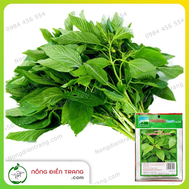 Hạt Giống Rau Đay Cao Sản  Phú Nông