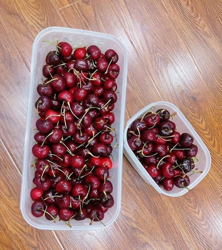 Hộp trữ mát có nút hô hấp Ventsmart 6.1 Lít Tupperware - Hàng chính hãng