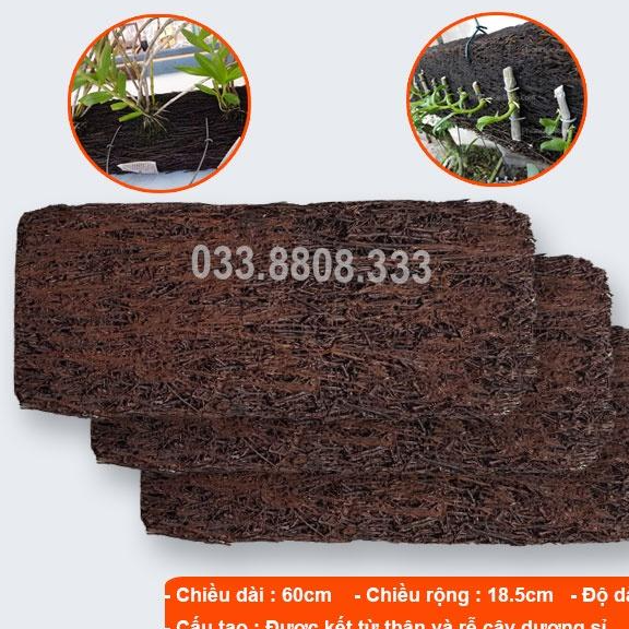 DƠN BẢNG GHÉP LAN GIÁ THỂ ĐÃ QUA XỬ LÝ