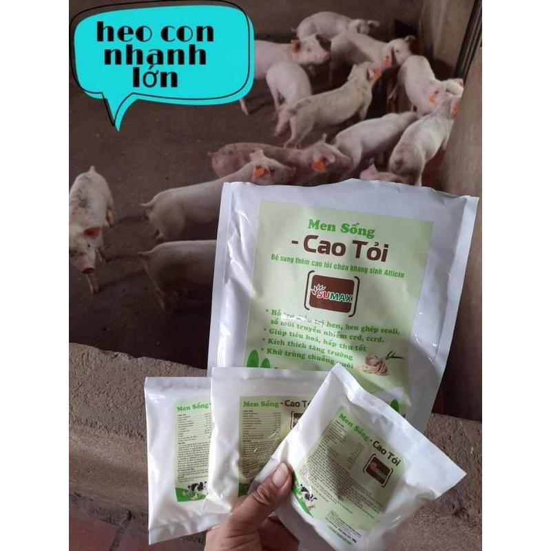 Men sống cao tỏi 1kg