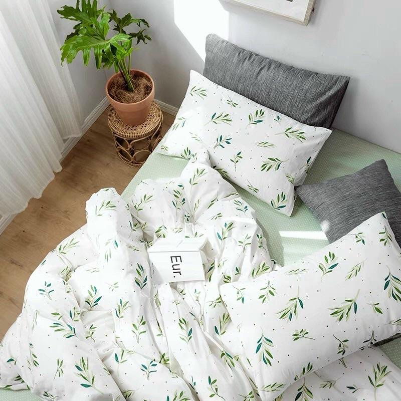 Set Cotton Living 100% Hàng Nhập Khẩu Cao Cấp 4 Món Lá Me Trắng