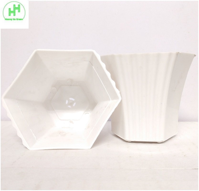2 Chậu nhựa Lục giác  Sen đá 100x80x60, trồng cây mini, xương rồng, cây để bàn, sen đá