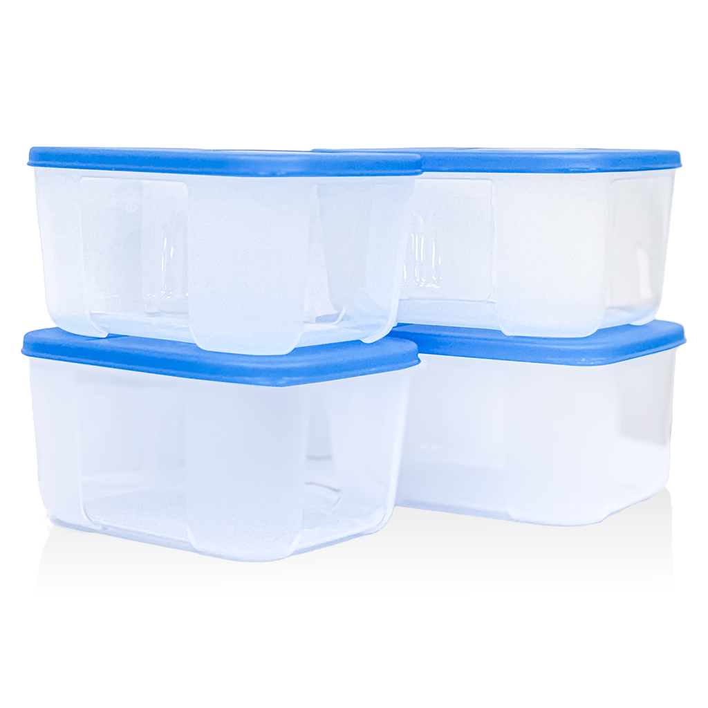 Bộ Hộp Đựng Thực Phẩm Tupperware Trữ Đông Gen I Small 650ml vuông