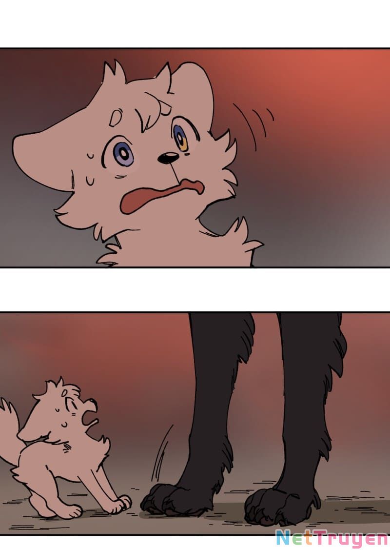 lumine - cội nguồn ánh sáng chapter 113 22