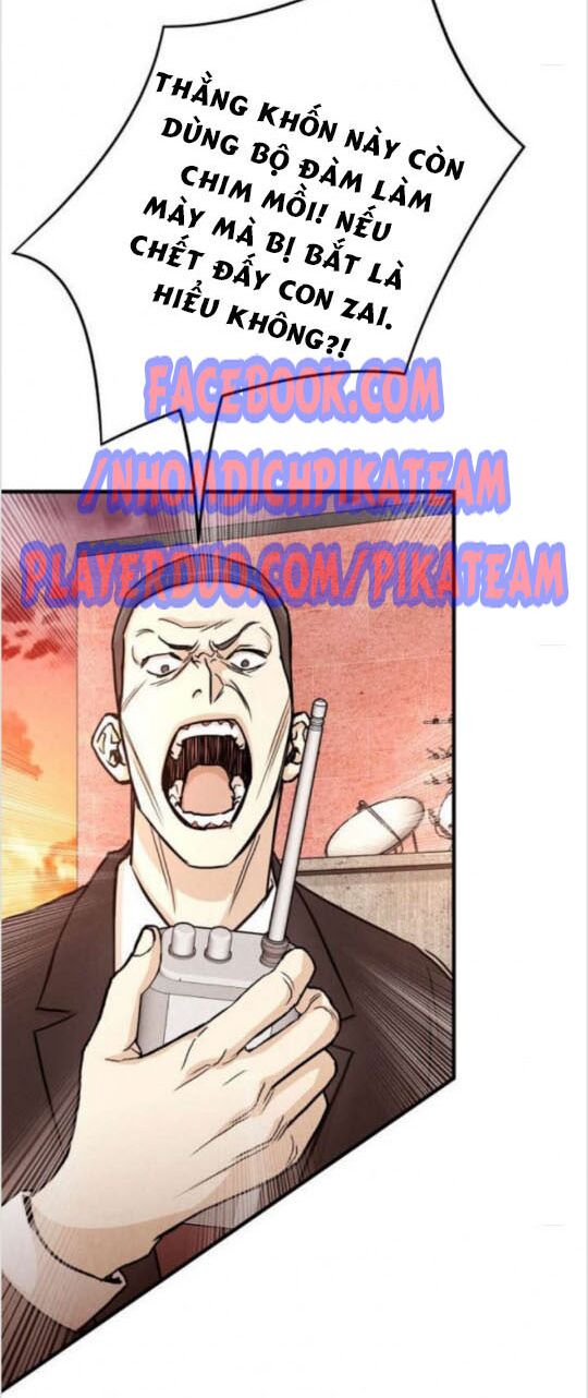 return survival chapter 22 22