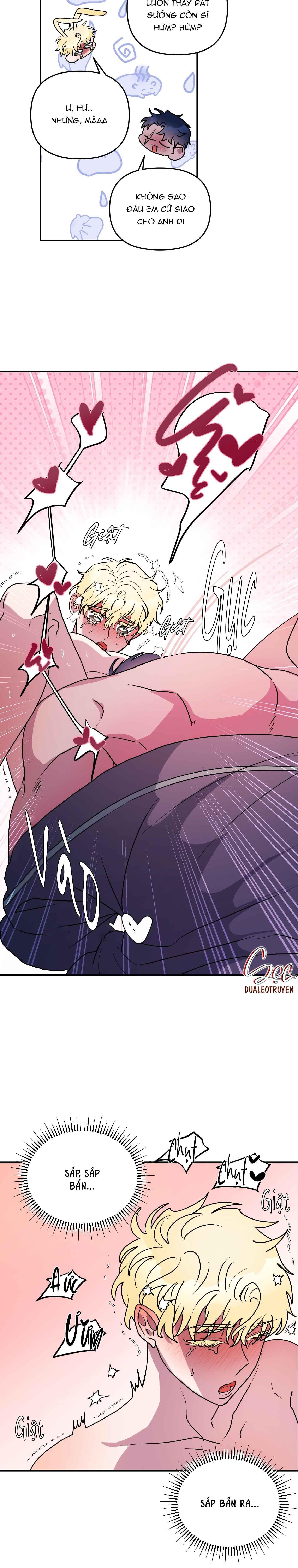 cá mập và cô dâu thỏ chapter 49 18