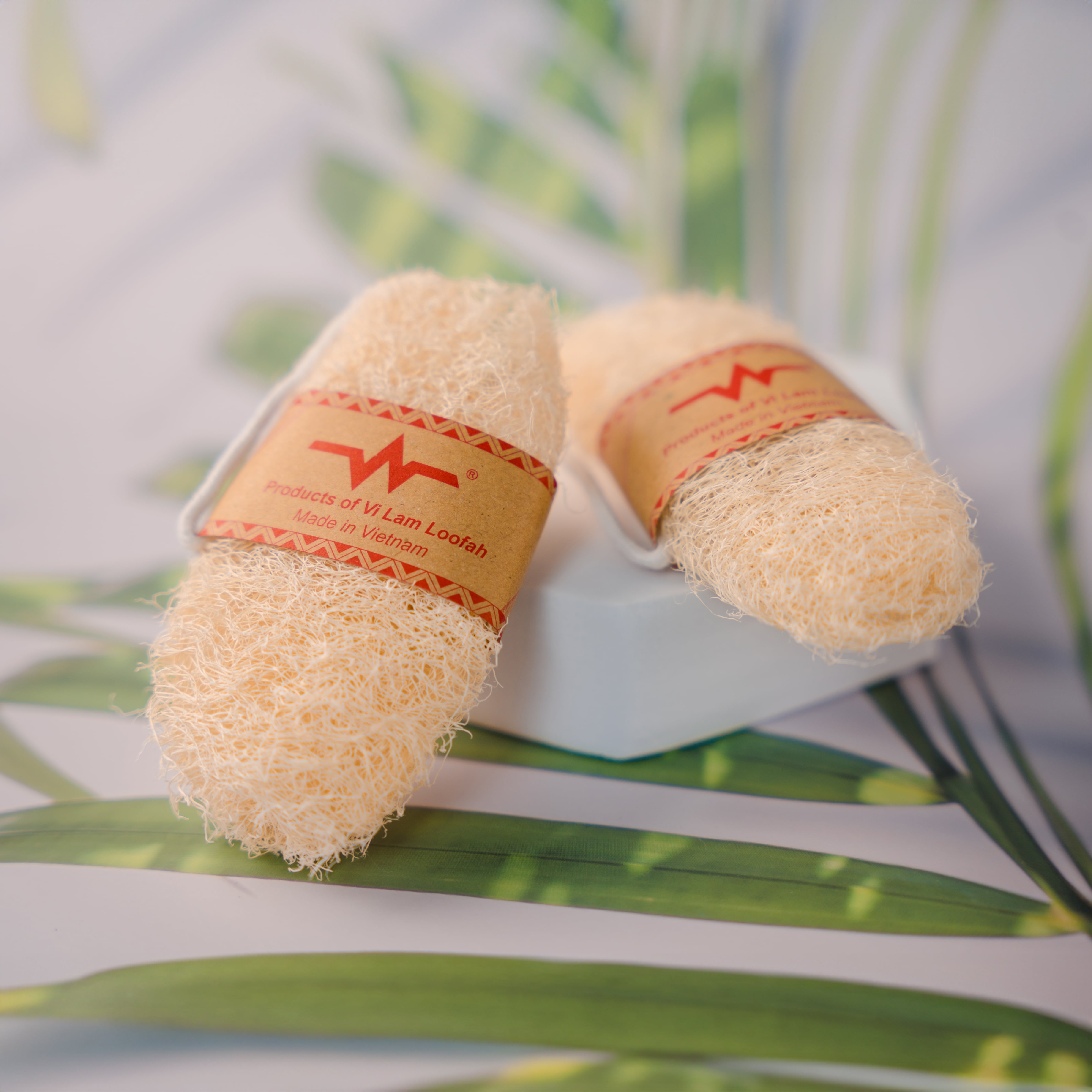 Xơ Mướp Nguyên Trái Thương Hiệu Xơ Mướp Vi Lâm Phiên Bản Truyền Thống