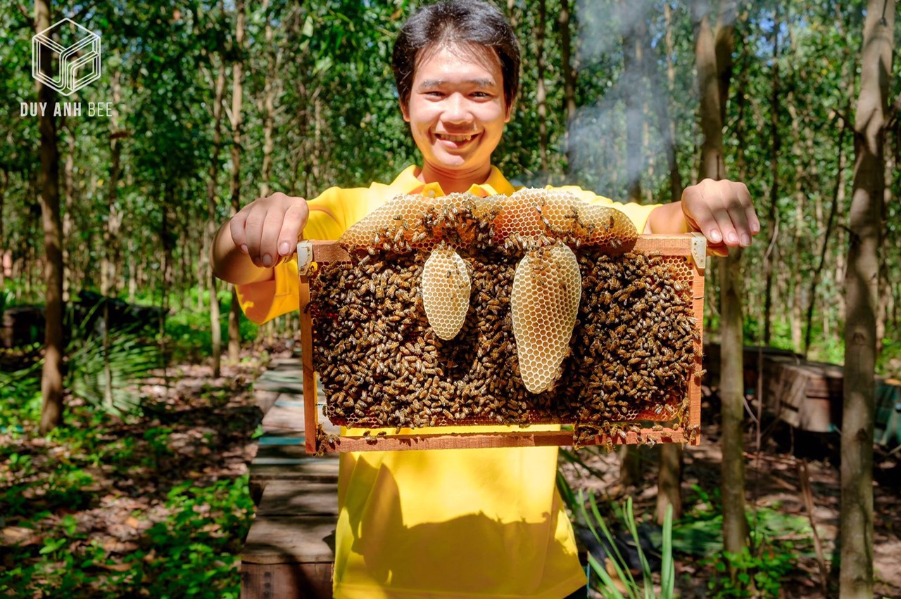 Hình ảnh Mật Ong Nguyên Chất Duy Anh Bee 7kg Vị  Ngọt Dịu Nhẹ Thiên Nhiên-