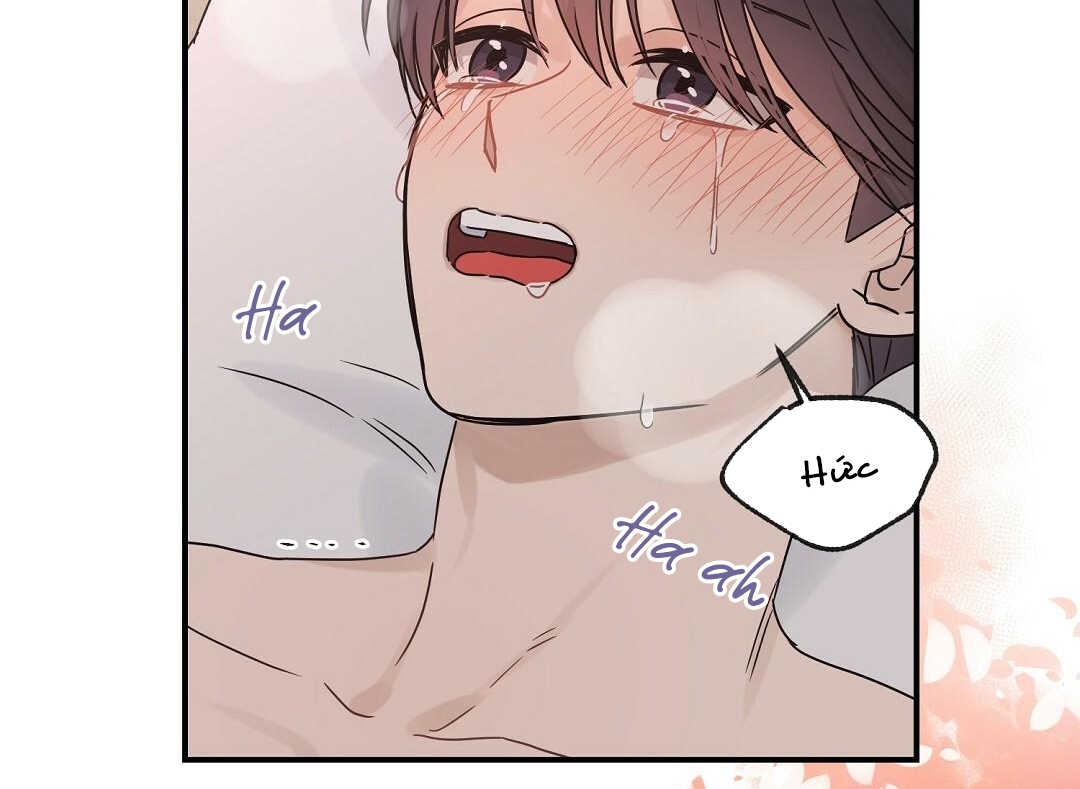 phức cảm tự ti của omega chapter 20 11