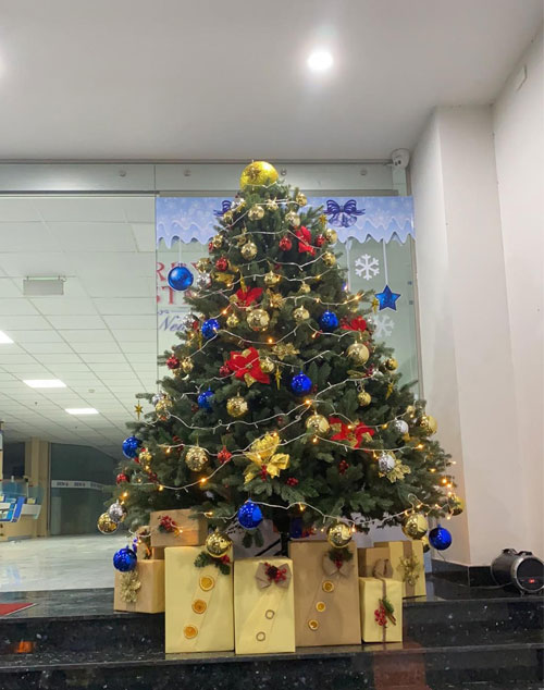 Cây thông Pe cao cấp 1m5 - Cây thông noel PE -  Cây tự động bung cành