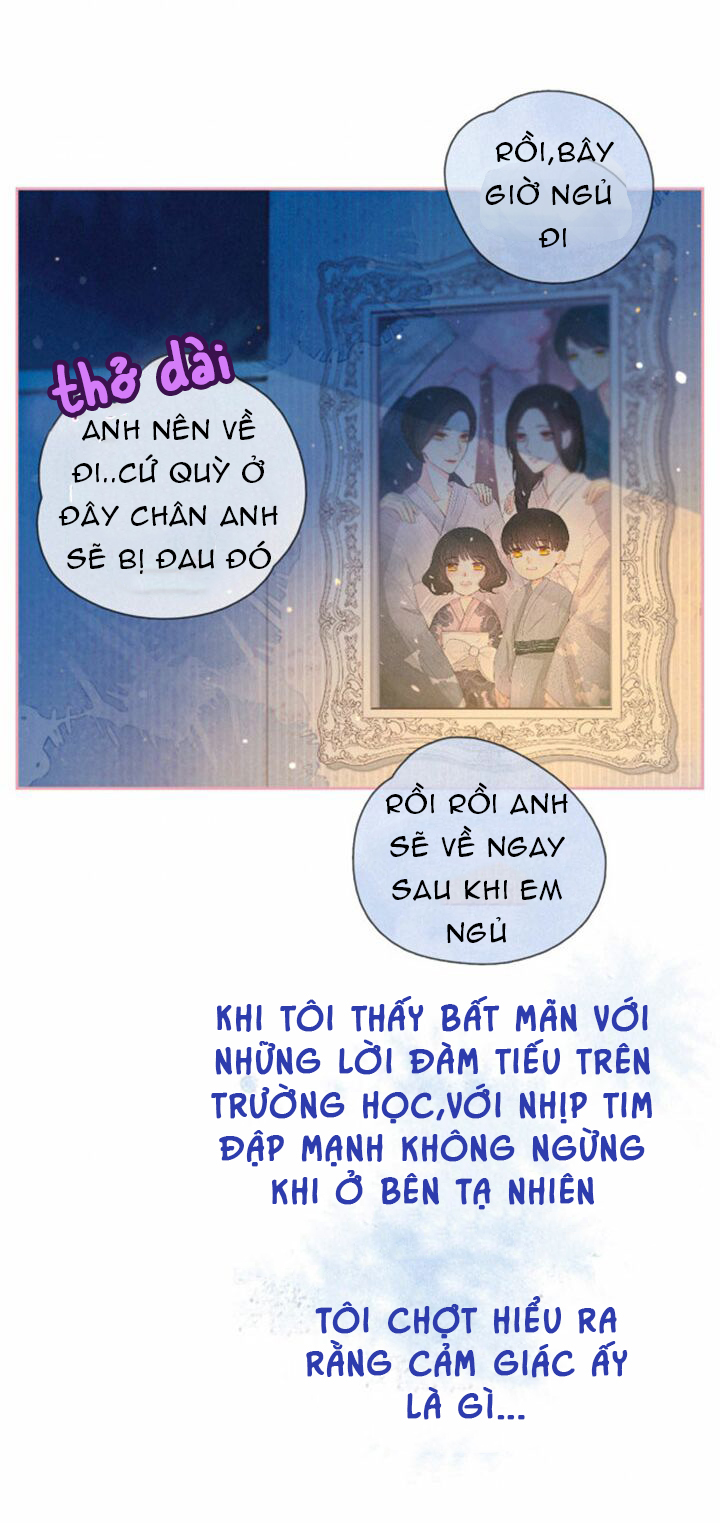 nỗi buồn của hoa cẩm tú cầu chapter 50 13