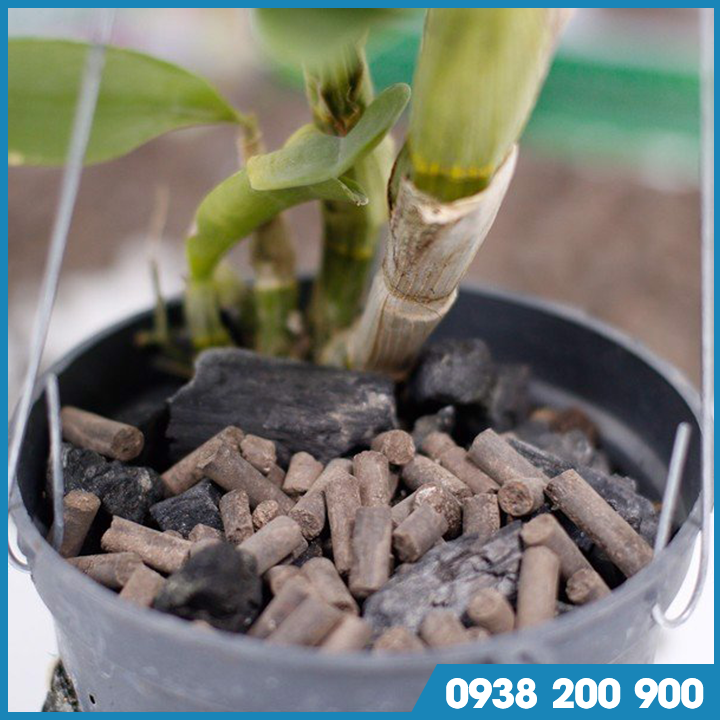 Phân trùn quế cao cấp dạng viên nén - Gói 1kg - Phân giun quế nguyên chất dành cho hoa Lan, hoa hồng, cây kiểng