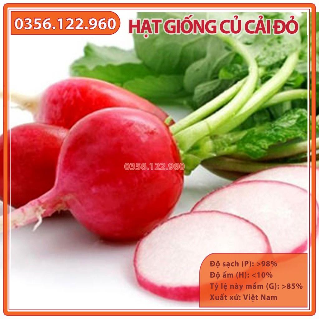 Hạt giống củ cải đỏ tròn F1 - gói 5g - dễ trồng, dễ chăm sóc, năng suất cao