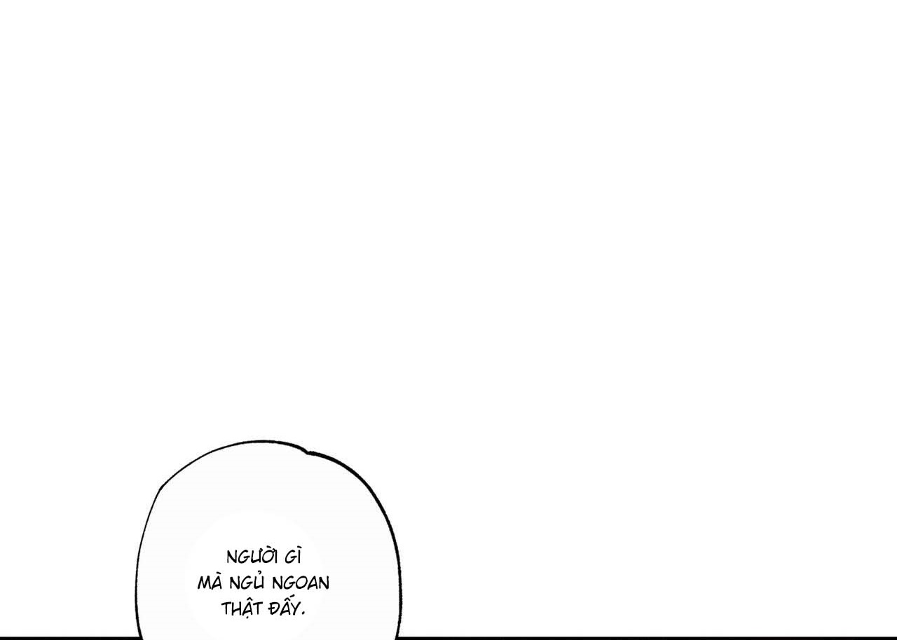 chàng giao pizza và gold palace chapter 41 50