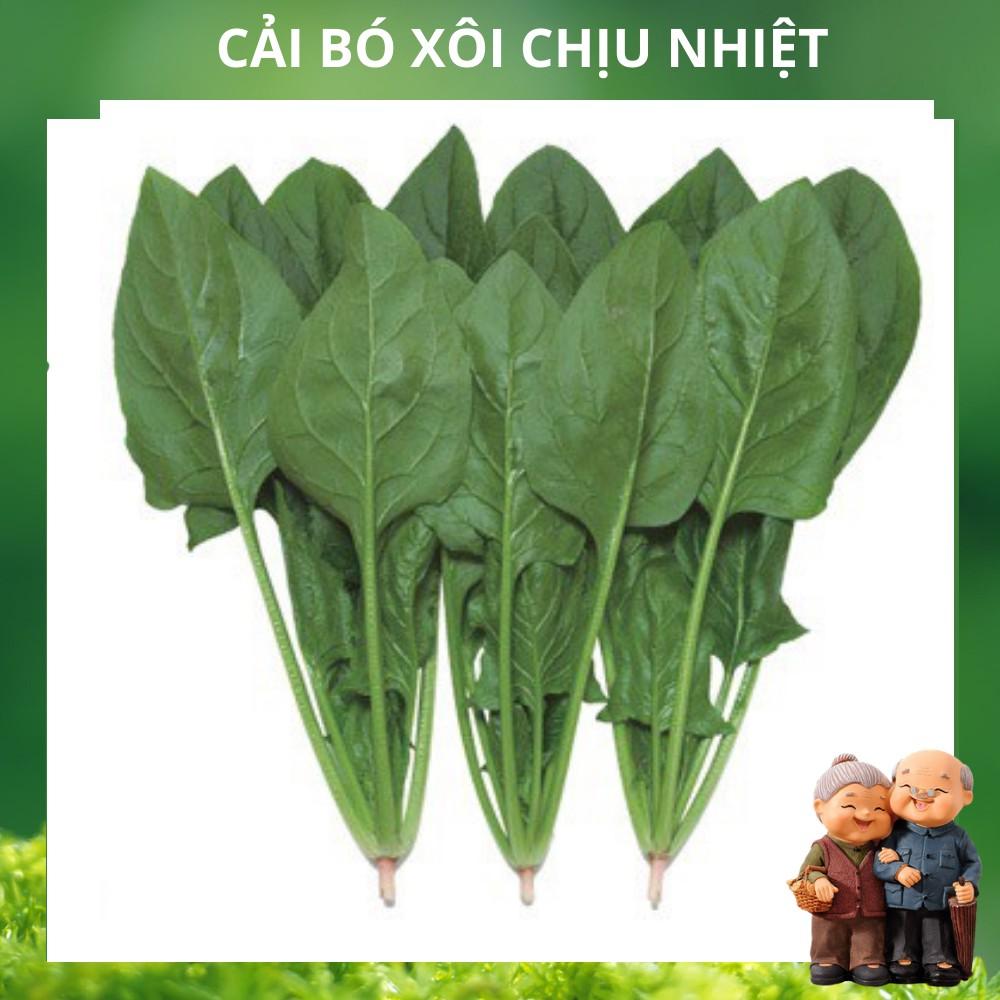 Hạt Giống Cải Bó Xôi Chịu Nhiệt, Dễ Trồng - gói 20g