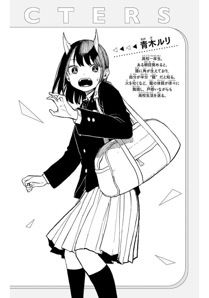 Sách ngoại văn: Ruri Dragon 2 (Japanese Edition)