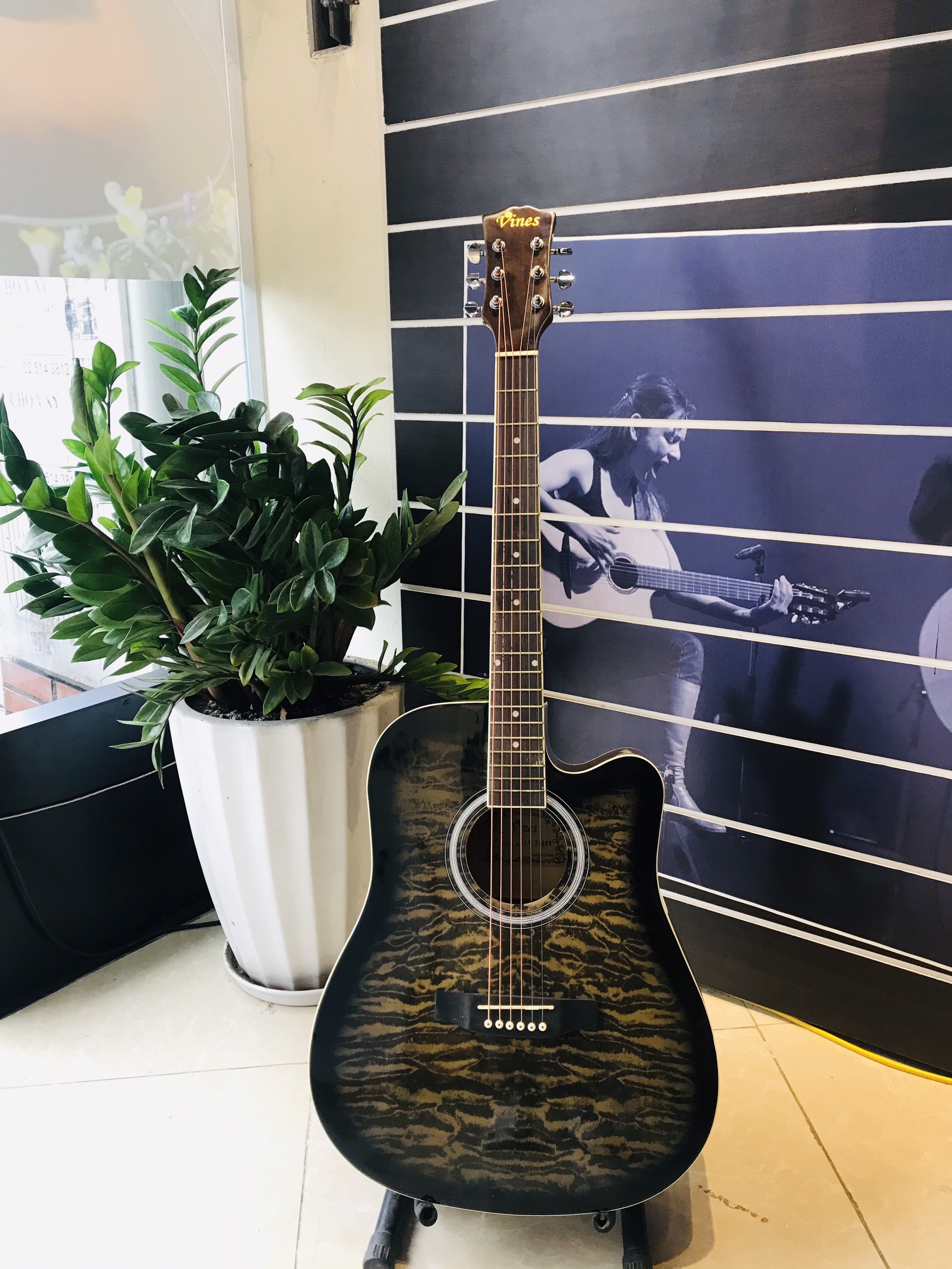 Đàn Guitar Acoustic VA4130BKS