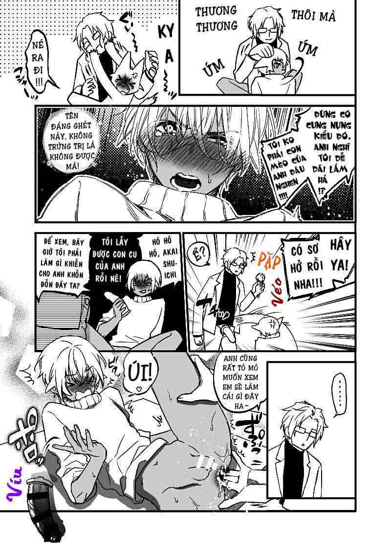 Akai X Amuro - Detective Conan Doujinshi chapter 15