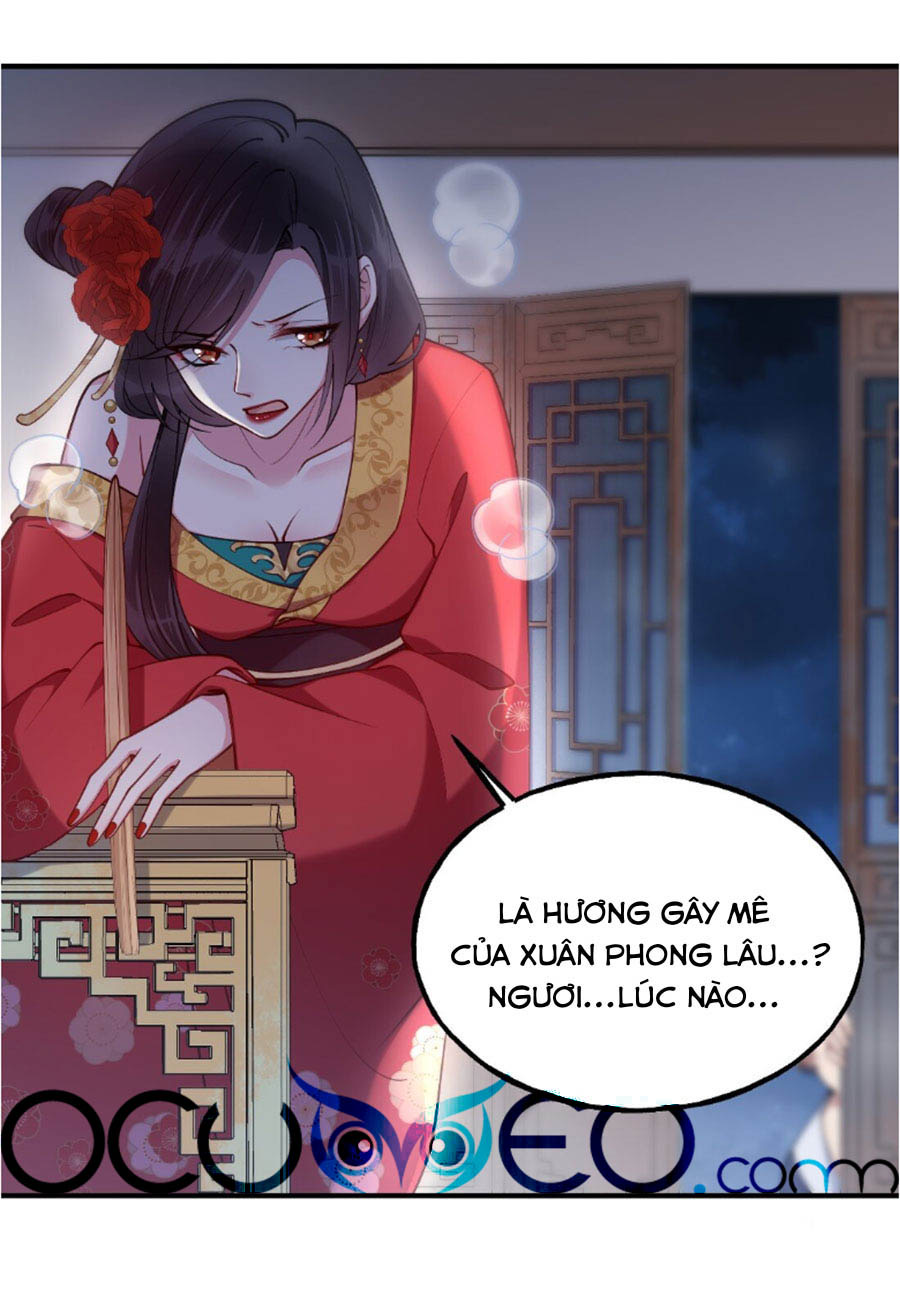 đây không muốn cung đấu mà chapter 4.2 2