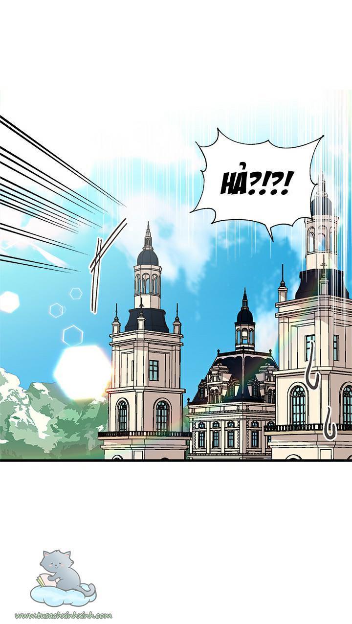 chị tôi nhặt về nam chính của tiểu thuyết chapter 47 24